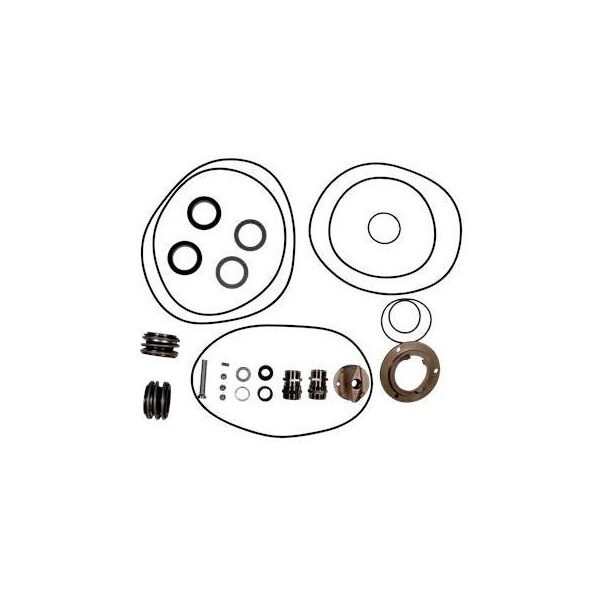 Pump Repair Kits- Kit, APG.50.48-92 (EX) (AM173..T) <GF, APG Series.